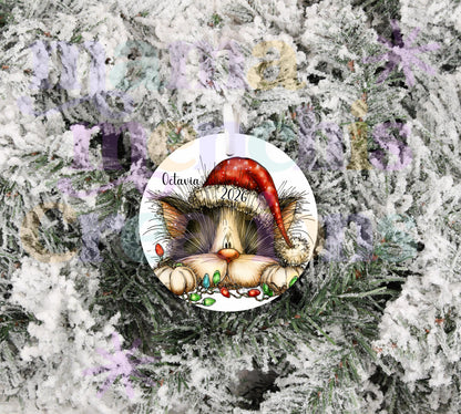 Personalized 2026 Tuxedo Cat Possum Christmas Sublimation Ornament Holiday Possum