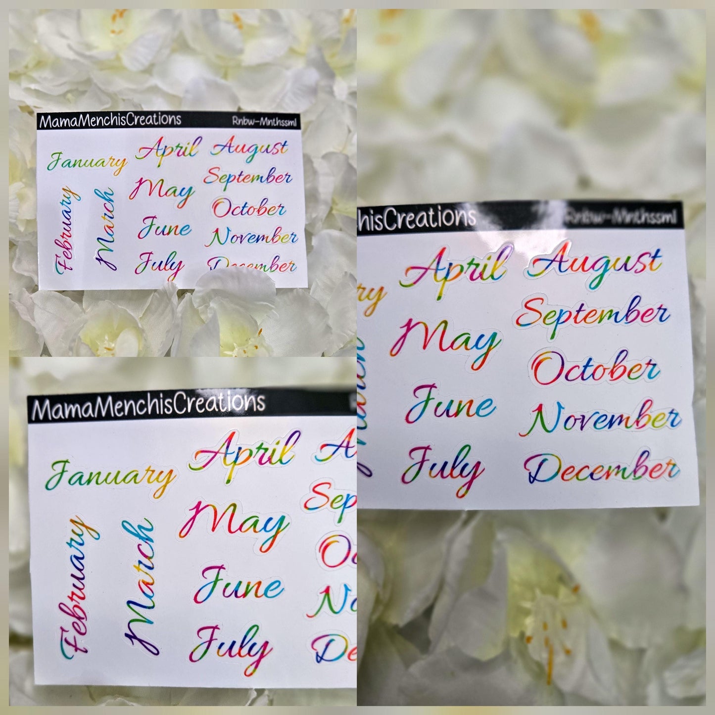 Tiny Rainbow Months Functional Stickers  Bujo Journal Planner deco Sticker Sheet
