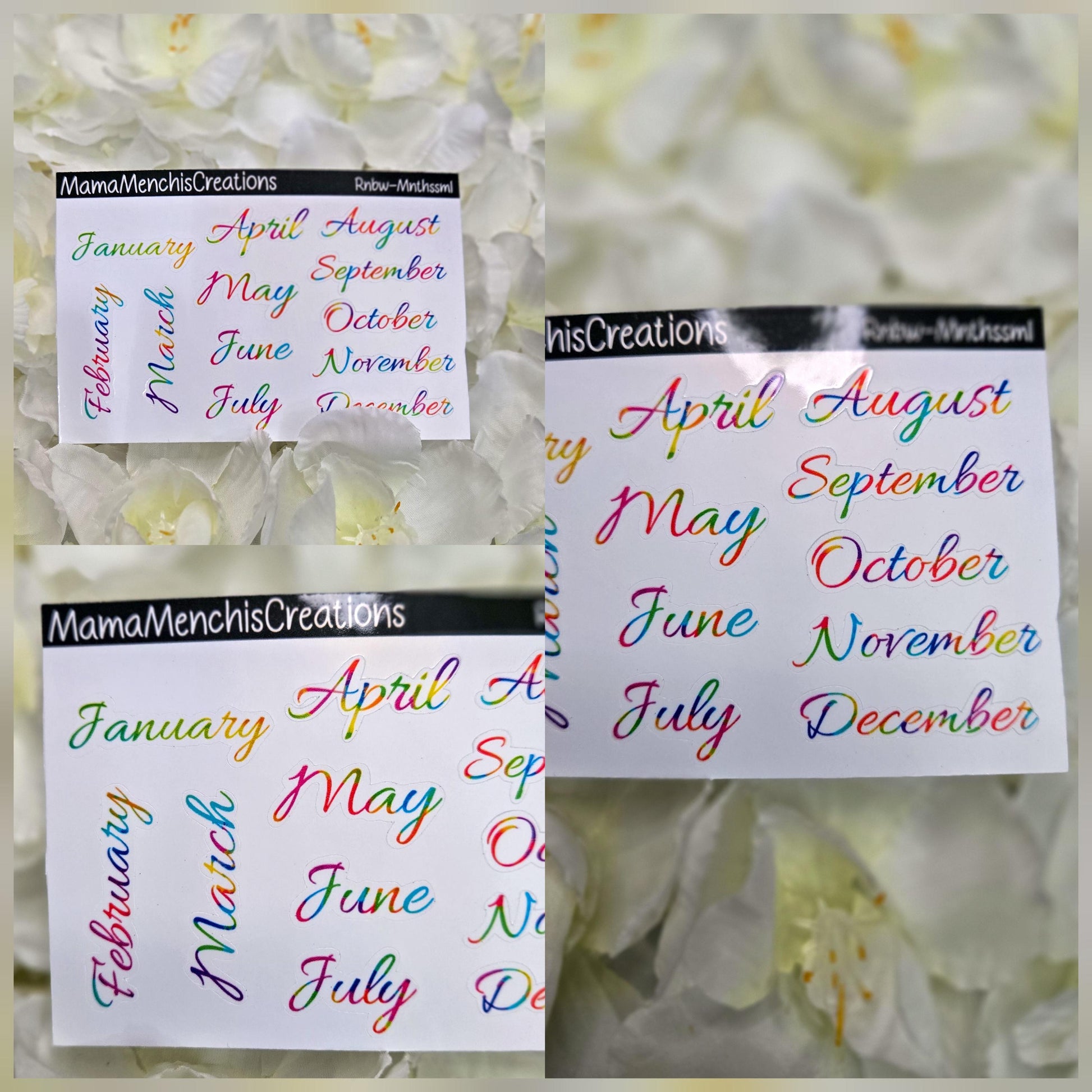 Tiny Rainbow Months Functional Stickers Bujo Journal Planner deco Sticker Sheet