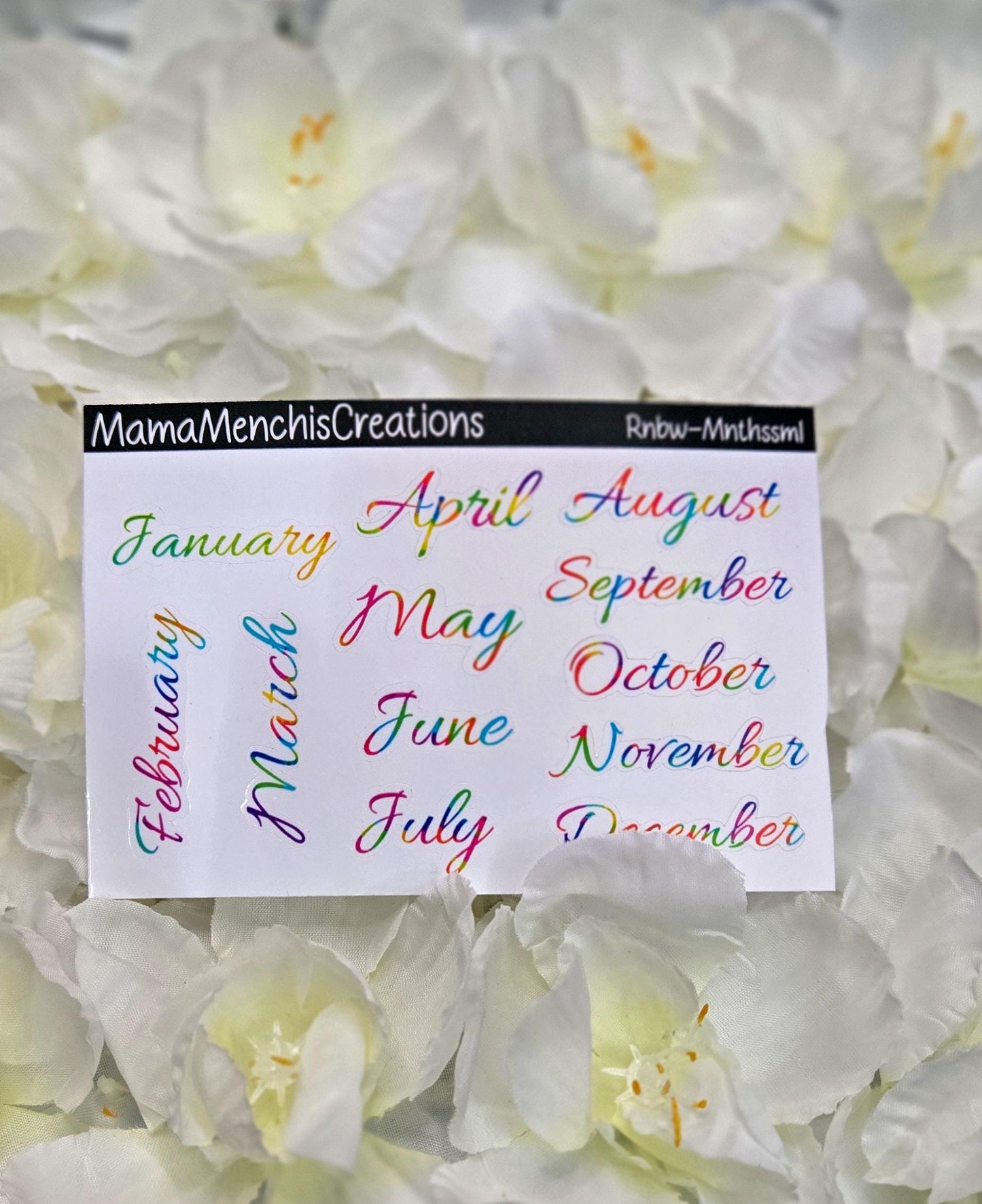 Tiny Rainbow Months Functional Stickers Bujo Journal Planner deco Sticker Sheet