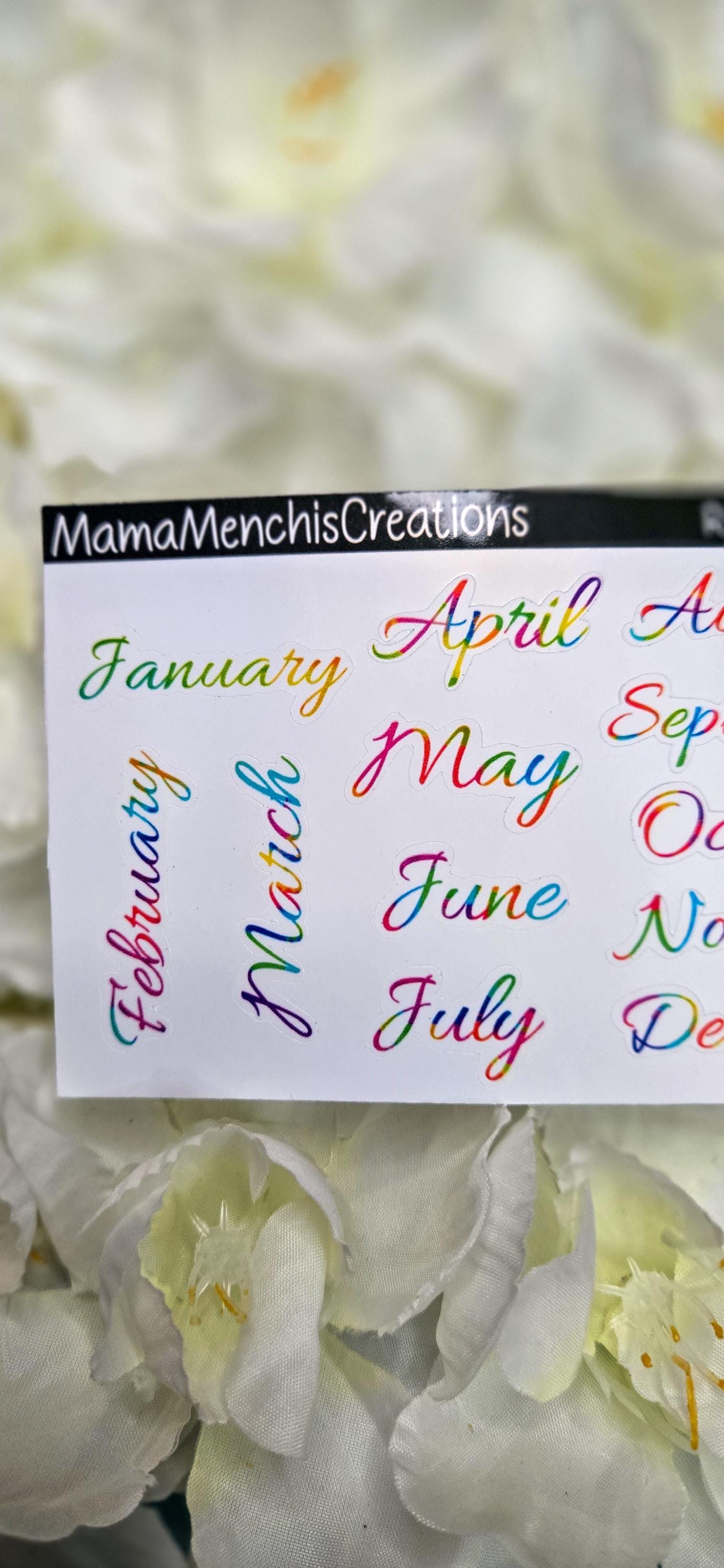 Tiny Rainbow Months Functional Stickers Bujo Journal Planner deco Sticker Sheet