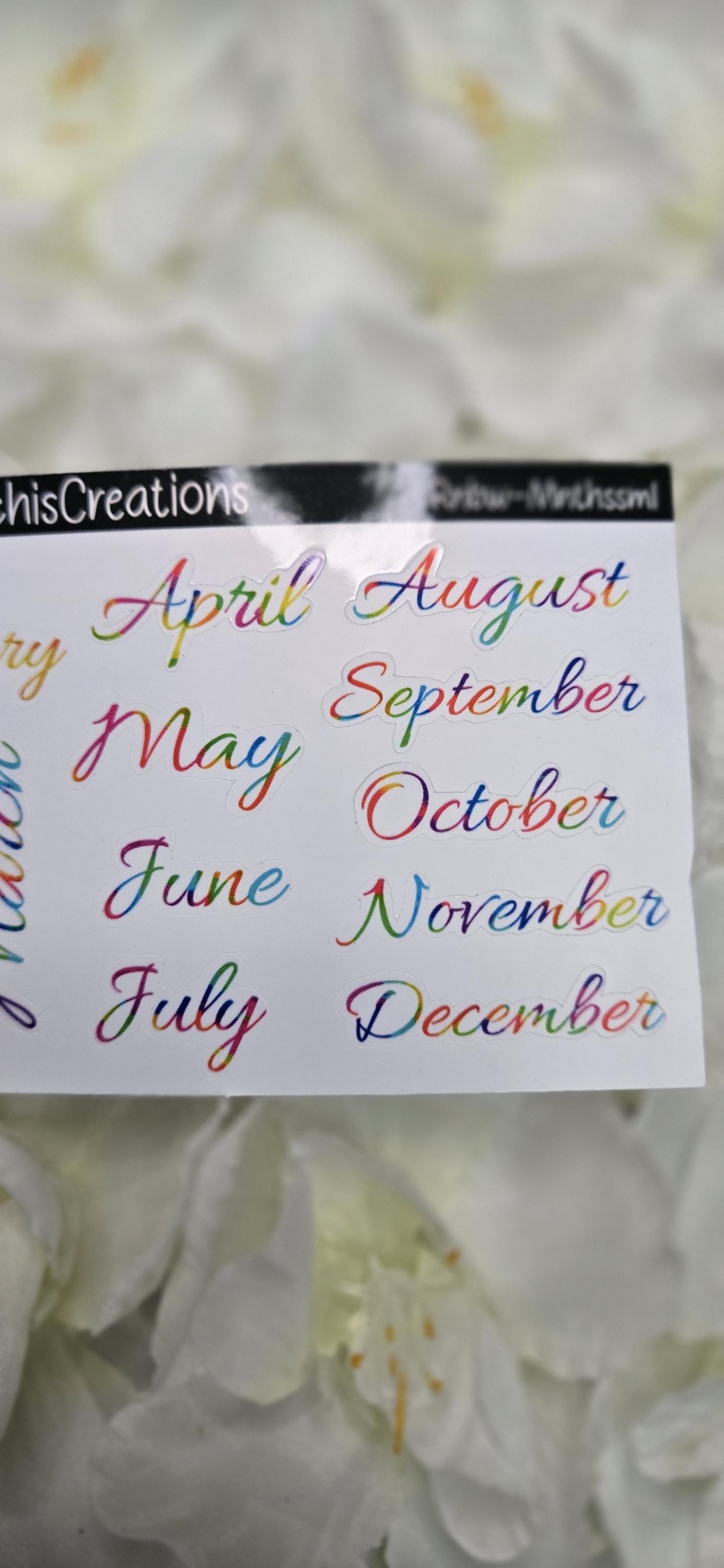 Tiny Rainbow Months Functional Stickers Bujo Journal Planner deco Sticker Sheet