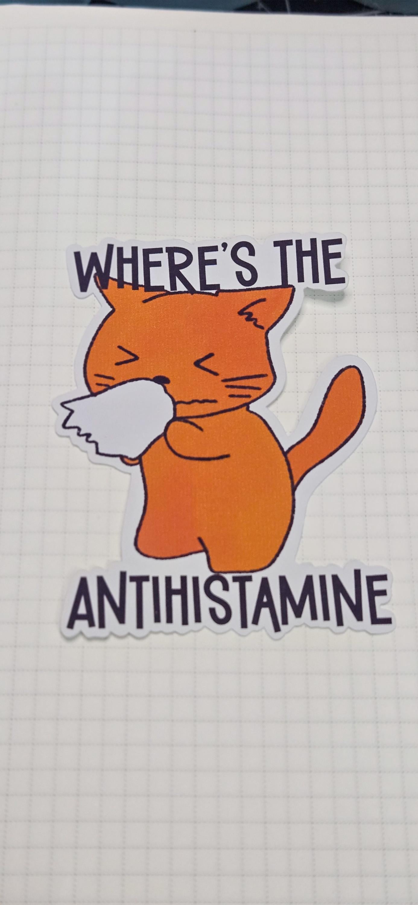 Antihistamine Cat Allergies Matte Die Cut Bujo Journal Planner Laptop Sticker