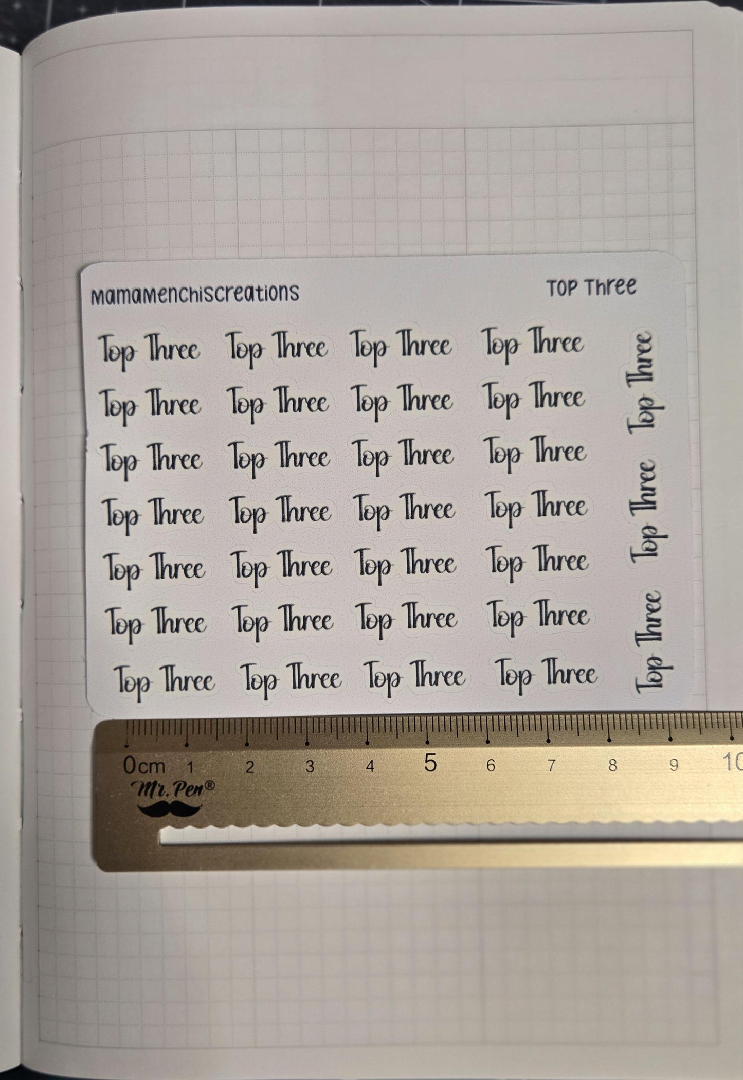 Priority and or Top Three Tracker Bujo Journal Planner Functional Sticker Sheet