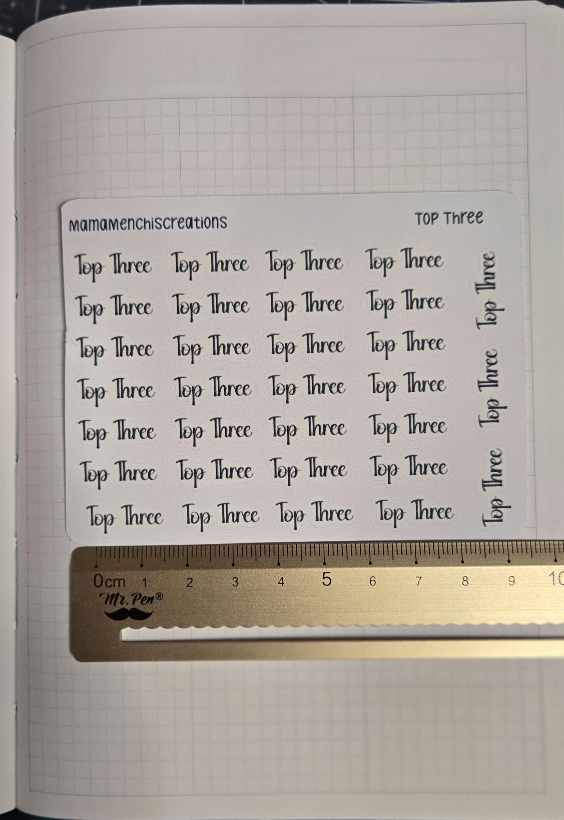 Priority and or Top Three Tracker Bujo Journal Planner Functional Sticker Sheet