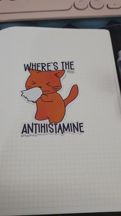 Antihistamine Cat Allergies Matte Die Cut Bujo Journal Planner Laptop  Sticker