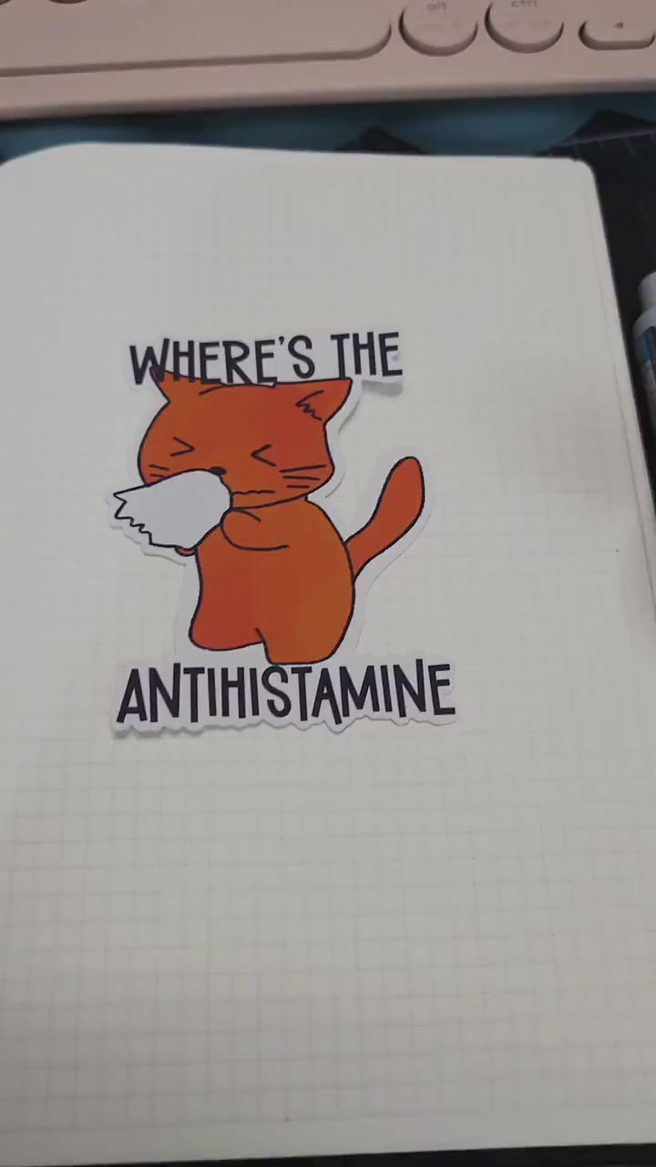 Antihistamine Cat Allergies Matte Die Cut Bujo Journal Planner Laptop  Sticker